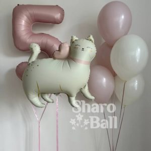 Набор с кошечкой