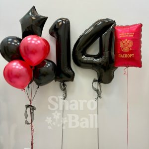 Сет паспорт