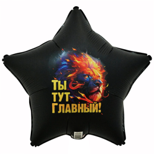 Звезда, Ты тут главный, 45 см