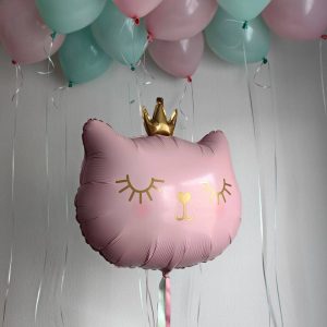 Кошечка и 10 шаров