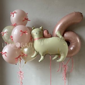 Набор с кошечкой, цифрой и бантиками