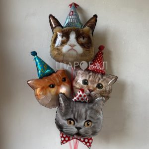 Котики в колпачках